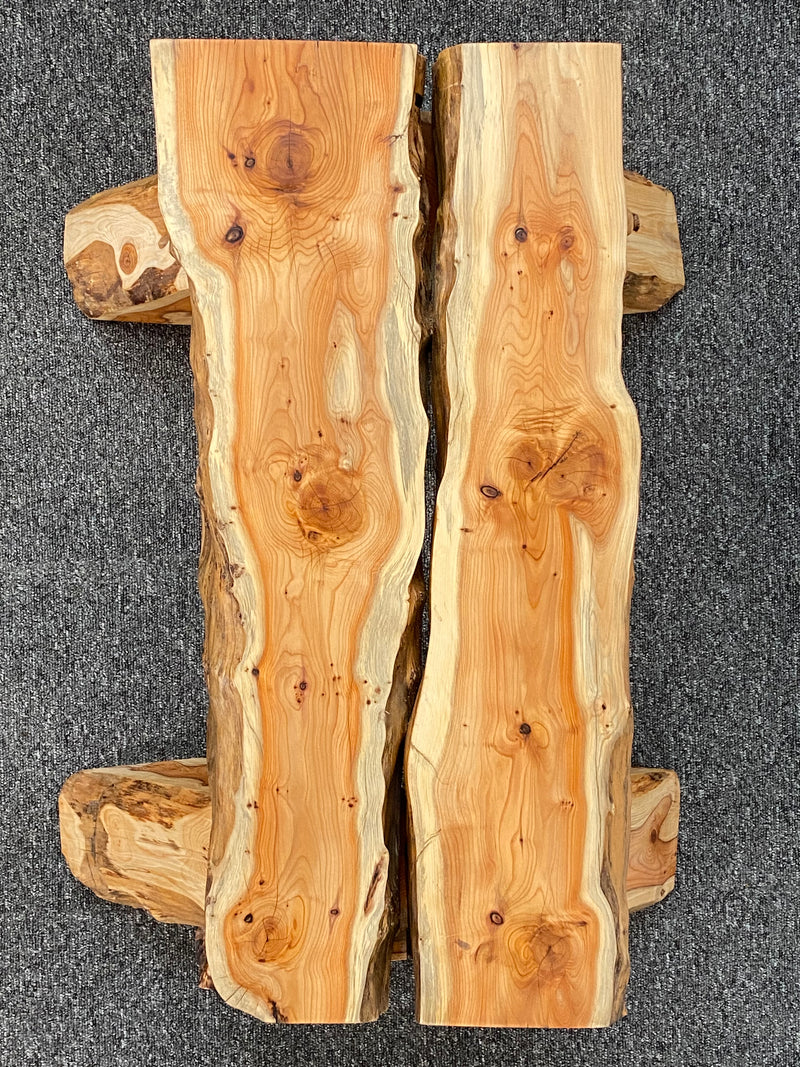 Handmade Bronson 69cm Live Edge Chunky Yew Bench