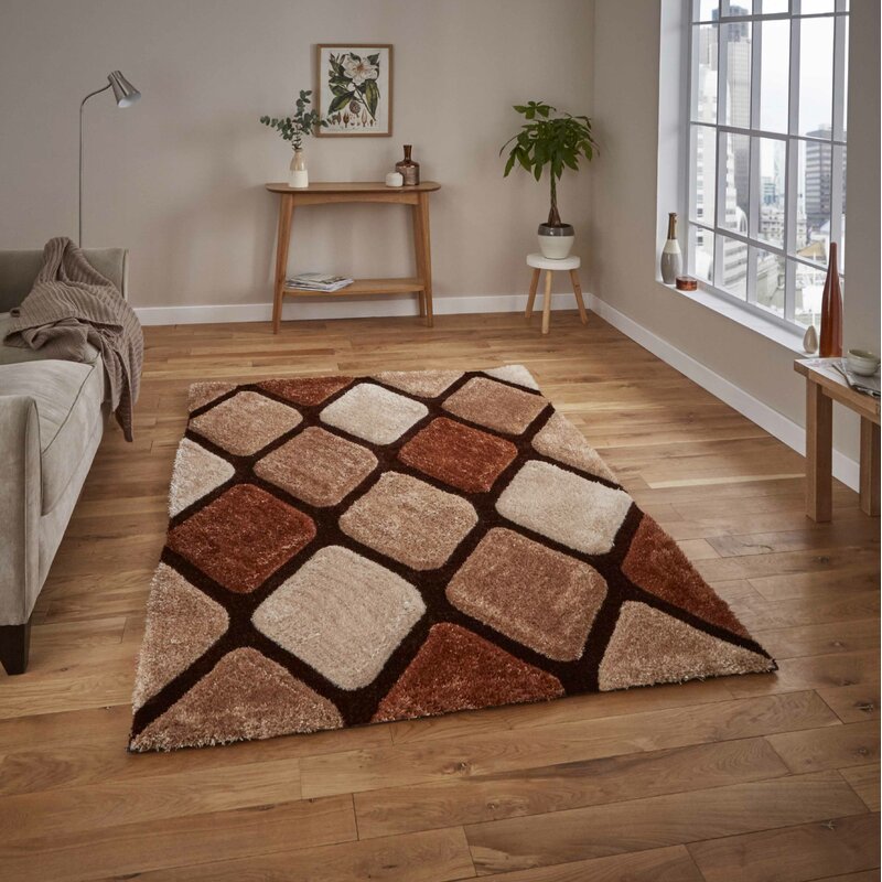 Elisha 120 x 170cm Handmade Tufted Deep Pile Area Rug: Brown/Beige